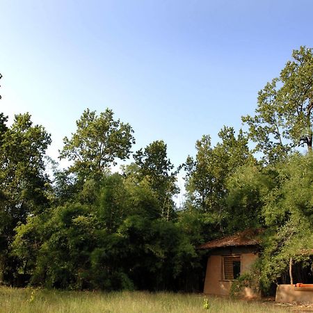 Mahua Kothi, Bandhavgarh National Park Otel Tāla Dış mekan fotoğraf