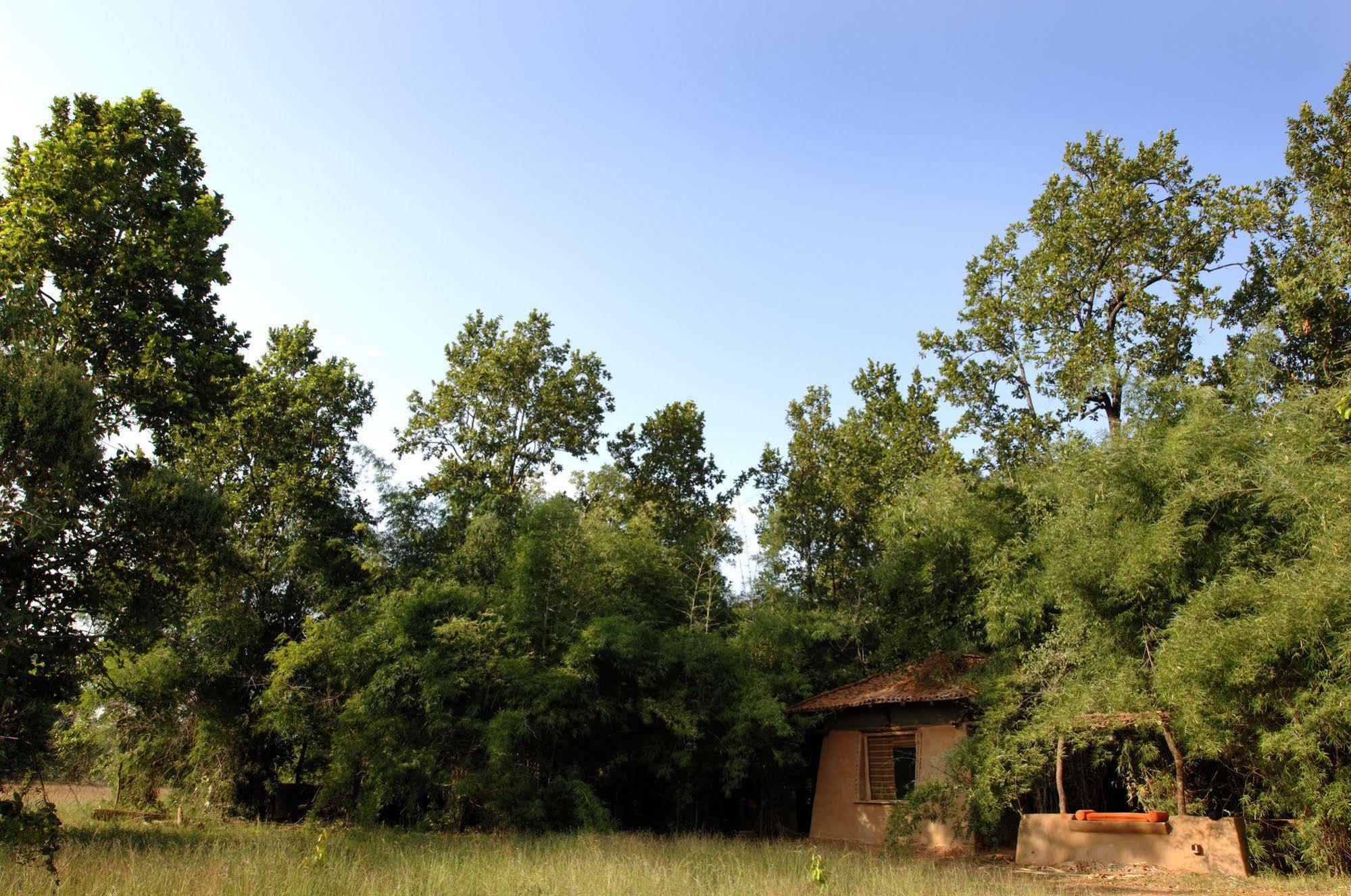 Mahua Kothi, Bandhavgarh National Park Otel Tāla Dış mekan fotoğraf